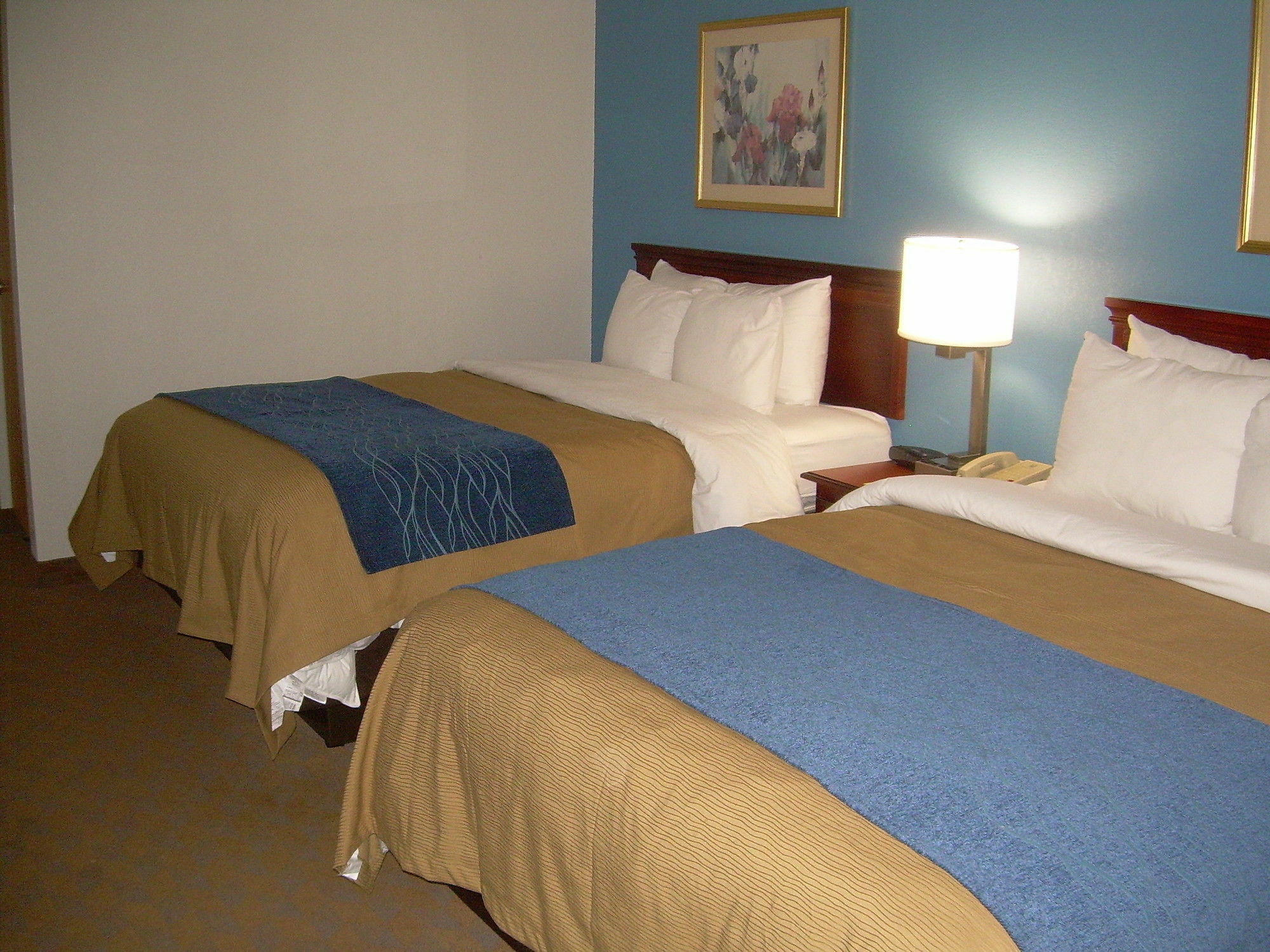 Comfort Inn & Suites Lees Summit - Kansas City Lee's Summit Extérieur photo